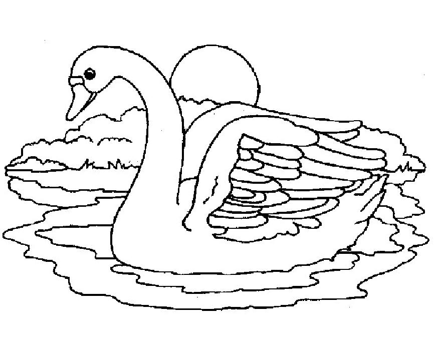 coloriage cygne et la lune